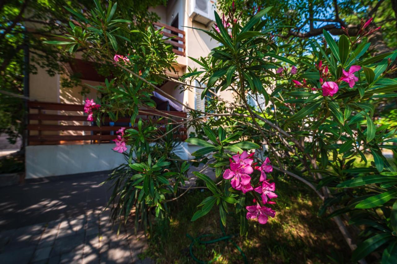 Vacation House Anna คาร์โลบัก ภายนอก รูปภาพ